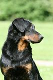 BEAUCERON 851